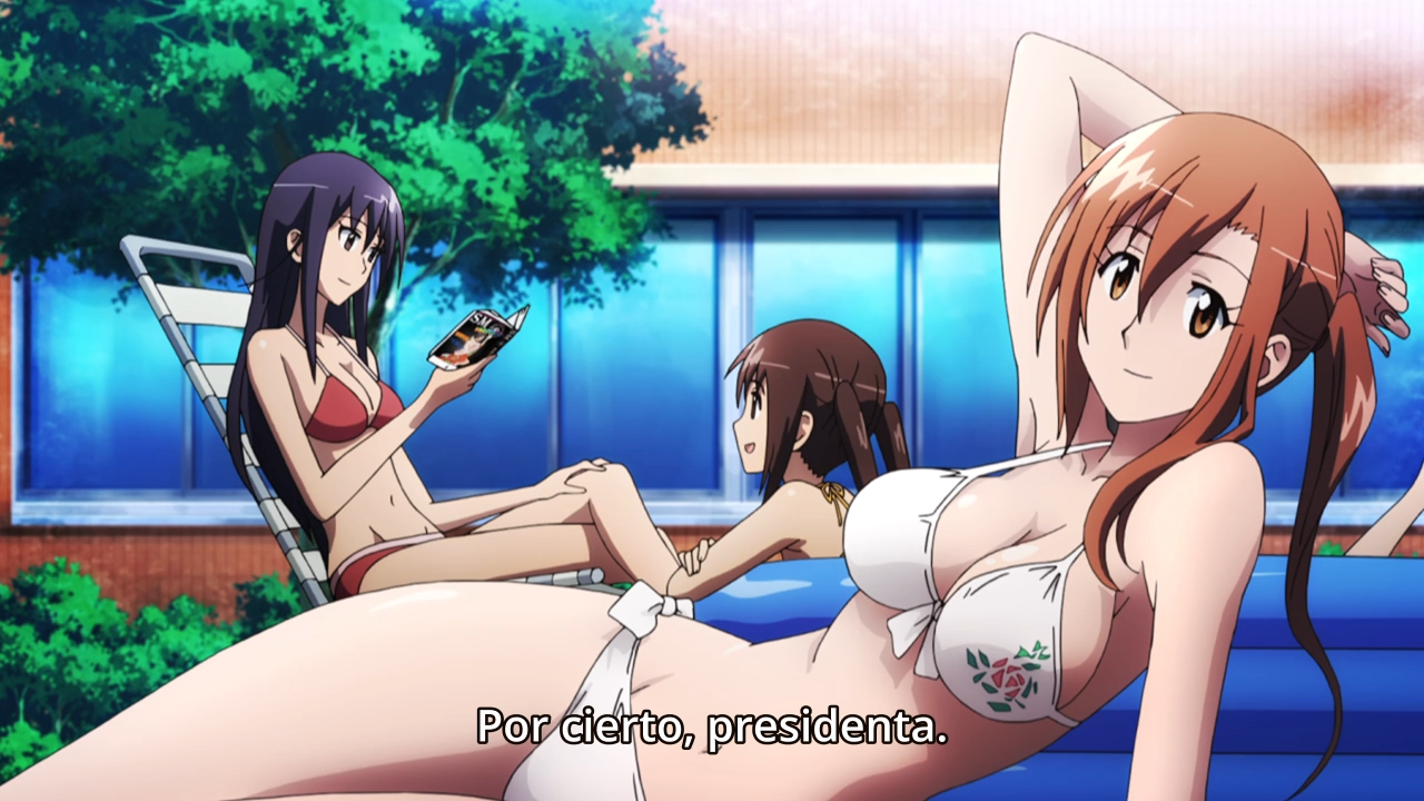 Seitokai Yakuindomo S2 (PuyaSubs!!)